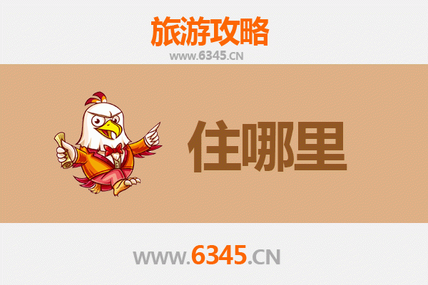 海南藏族共和旅游民宿全攻略：高原风情与舒适体验的完美融合